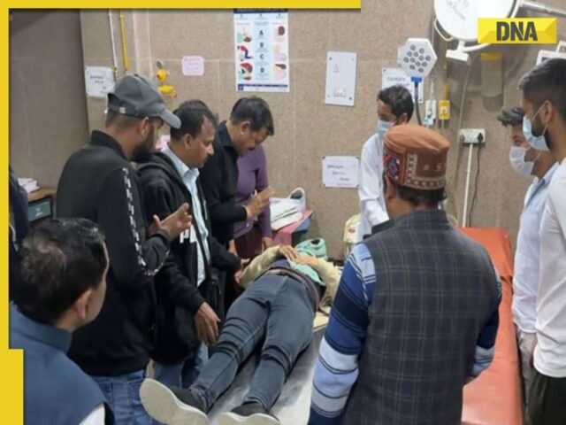 हिमाचल प्रदेश में गुरुद्वारा मणिकारन साहिब के पास पेड़ को उखाड़ने के बाद छह मृत, पांच घायल हो गए
