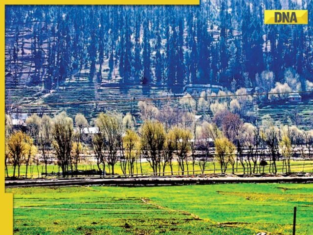 पहलगाम आतंक के हमले के कुछ दिन बाद, जम्मू और कश्मीर सरकार बड़ी कार्रवाई करती है, घाटी में बंद 87 में से 48 पर्यटक स्थलों को बंद कर दिया
