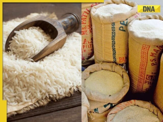 भारत का 1 लाख टन बासमती चावल शिपमेंट बंदरगाहों पर अटक गया ...
